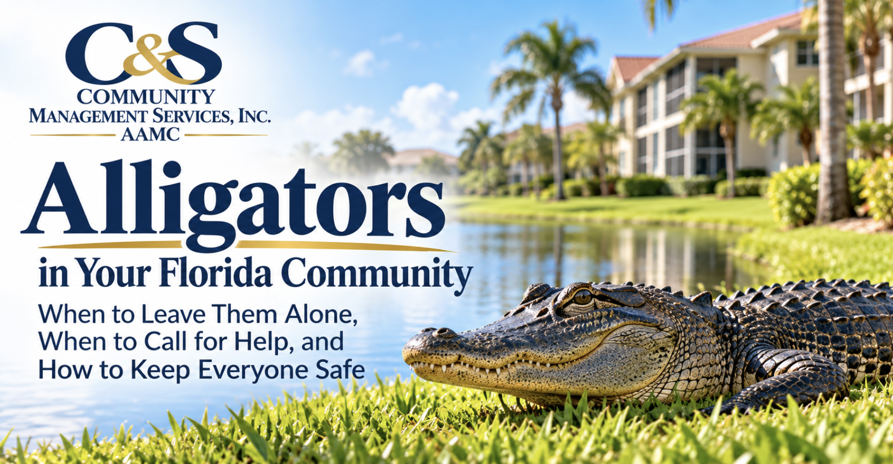 Gator.jpg
